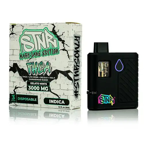 Disposable vape mod with packaging featuring branding on a white background front image